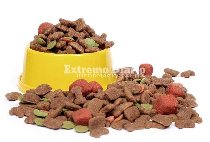 Imagen de Alimento para perros: se llamará a licitación pública