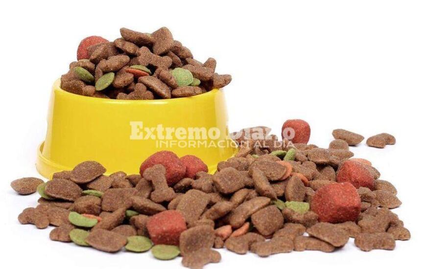 Imagen de Alimento para perros: se llamar&aacute; a licitaci&oacute;n p&uacute;blica