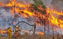 Imagen de Incendios provocados por el hombre: sigue el fuego en Chubut y R&iacute;o Negro, y tambi&eacute;n en Buenos Aires