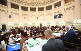 Imagen de Diputados solicit&oacute; informes al Ejecutivo por incompatibilidades del titular de la API, Mart&iacute;n &Aacute;valos