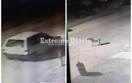 Imagen de Atropell&oacute; a un perro, lo arrastr&oacute; por el pavimento y se dio a la fuga
