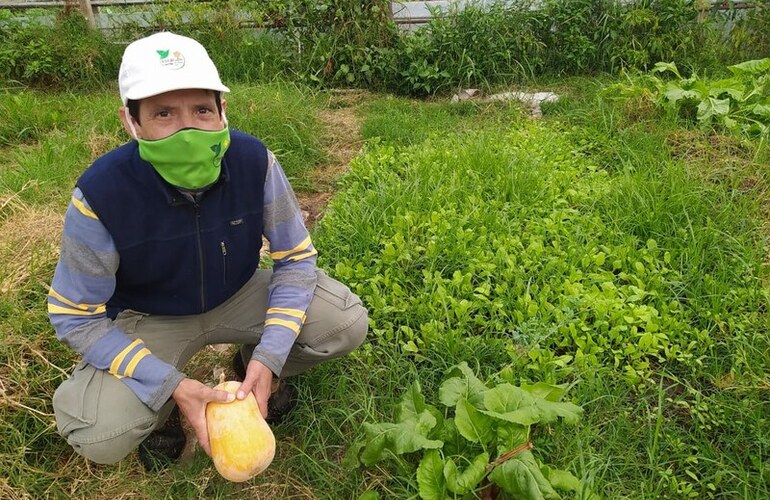 El vivero se prepara para el oto&ntilde;o.