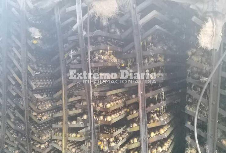 Imagen de Bomberos de la región se sumaron a colaborar en incendio en Rosario