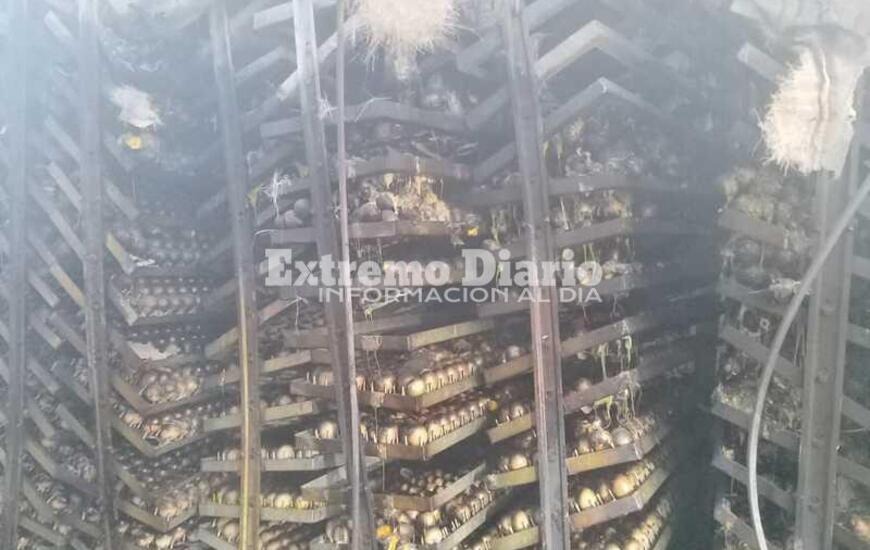 Imagen de Bomberos de la regi&oacute;n se sumaron a colaborar en incendio en Rosario