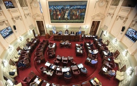 Imagen de Falabella: Legisladores reclaman acciones al gobierno de Perotti