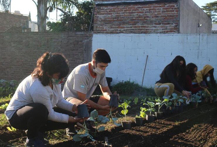 Imagen de Continúa el Taller Huerta y Vivero del Programa Santa Fe Más
