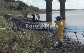 Especialistas trabajan en la costa