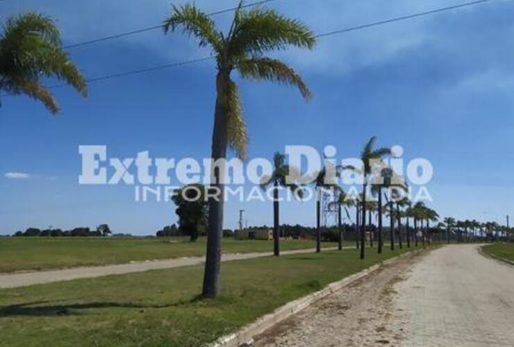 Imagen de La EPE desconectó a vecinos de Tierra de Sueños que habían sido conectados a sus líneas sin tener medidor de la empresa