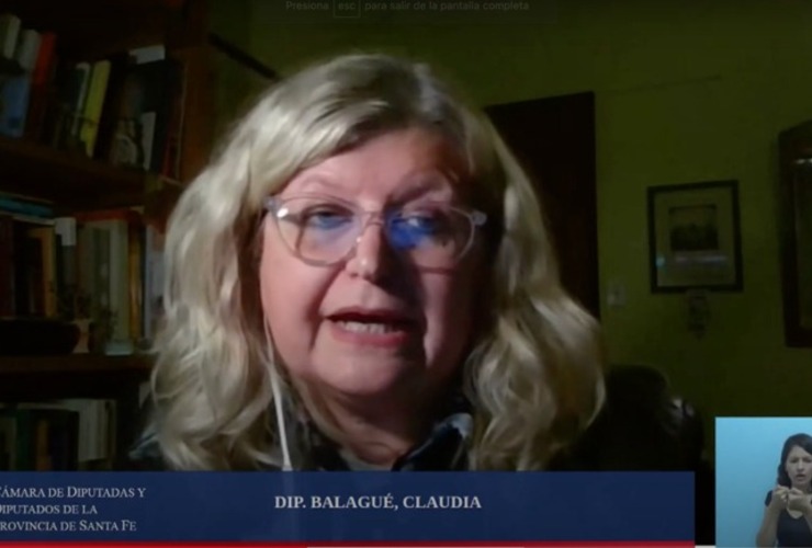 Imagen de Vacunas: Diputados impulsa la liberación de patentes para promover la producción local