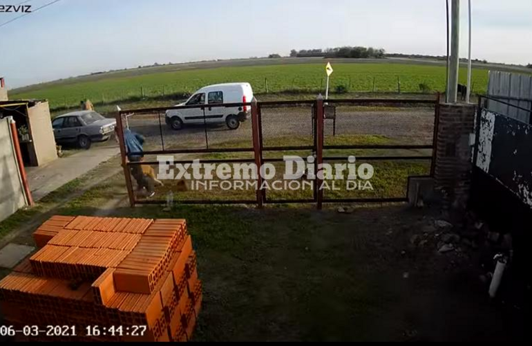 Indic&oacute; que el animal representa un continuo peligro para los que pasan por el lugar.