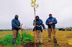Imagen de Hoy por el Día del Medioambiente, se plantó el primer árbol en la planta de residuos sólidos reciclables.