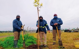 Imagen de Hoy por el D&iacute;a del Medioambiente, se plant&oacute; el primer &aacute;rbol en la planta de residuos s&oacute;lidos reciclables.