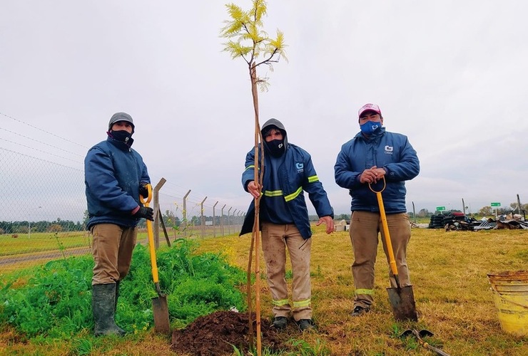 Imagen de Hoy por el Día del Medioambiente, se plantó el primer árbol en la planta de residuos sólidos reciclables.