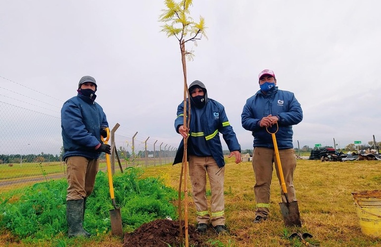 Imagen de Hoy por el Día del Medioambiente, se plantó el primer árbol en la planta de residuos sólidos reciclables.