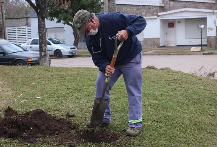 Foto: Municipalidad