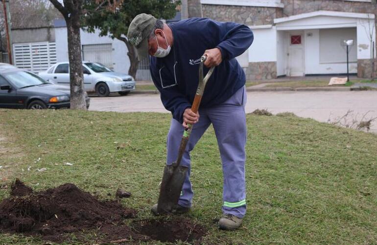 Foto: Municipalidad