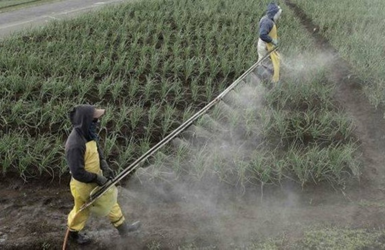 Imagen de &acute;En todo Santa Fe fumigan a 100 metros de las ciudades, necesitamos una ley actualizada&uml;