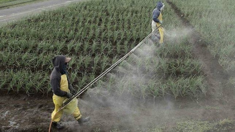Imagen de &acute;En todo Santa Fe fumigan a 100 metros de las ciudades, necesitamos una ley actualizada&uml;