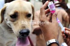 Ser&aacute; este martes desde las 10 hs frente al edificio comunal.