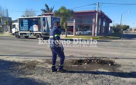 Islas Malvinas y Coronel Arnold