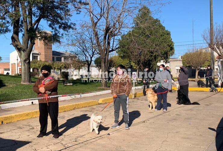 Se vacunaron unas 125 mascotas.