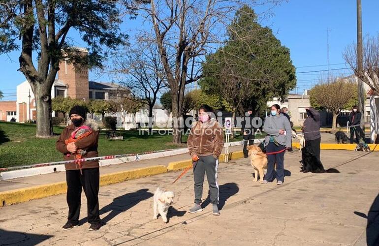 Se vacunaron unas 125 mascotas.