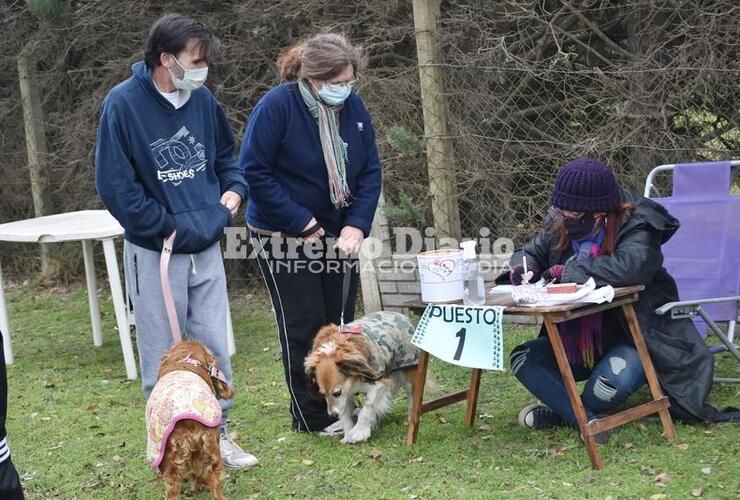 Se realizan castraciones y vacunaciones periódicamente