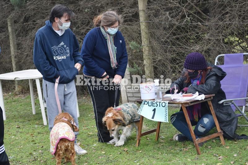 Se realizan castraciones y vacunaciones peri&oacute;dicamente