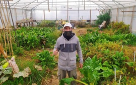 Imagen de El vivero comunal �Estaci&oacute;n Verde�, sigue entregando plantines para sembrar, de cara a la primavera.