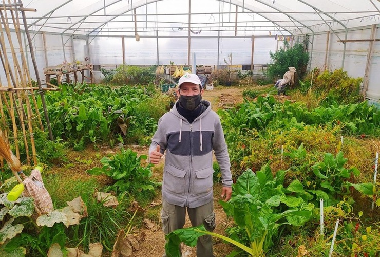 Imagen de El vivero comunal Estación Verde, sigue entregando plantines para sembrar, de cara a la primavera.