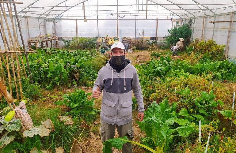 Imagen de El vivero comunal Estación Verde, sigue entregando plantines para sembrar, de cara a la primavera.