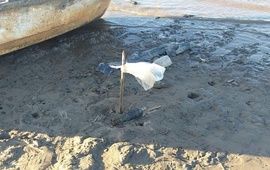 Imagen de Impactante hallazgo sobre la costa del Paran&aacute;