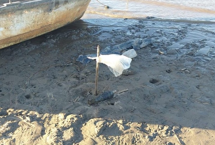 Imagen de Impactante hallazgo sobre la costa del Paraná