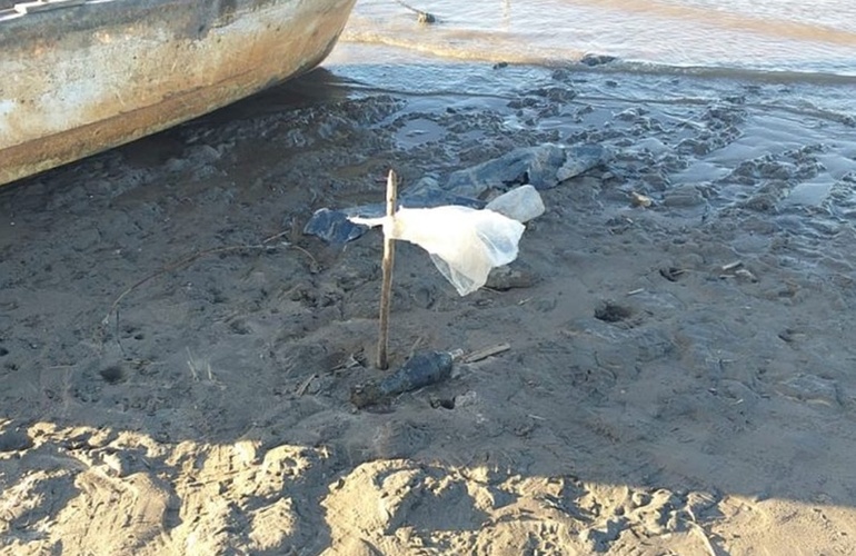 Imagen de Impactante hallazgo sobre la costa del Paraná