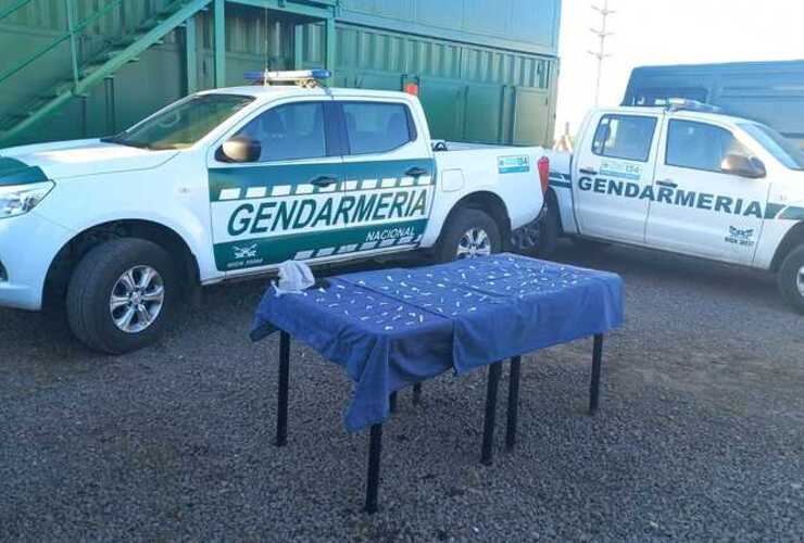 Imagen de Secuestraron 100 dosis de cocaína y detuvieron a un joven tras un operativo en zona sudoeste