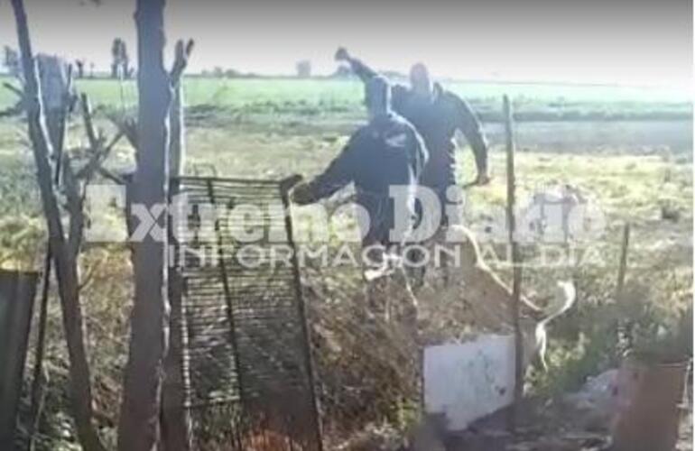 El vecino atrap&oacute; al ladr&oacute;n y lo entreg&oacute; a la polic&iacute;a.