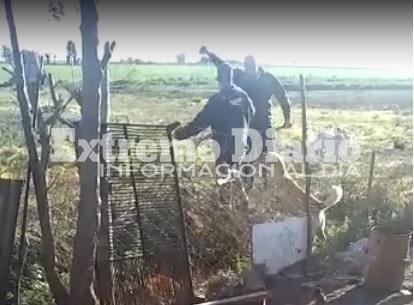 El vecino atrap&oacute; al ladr&oacute;n y lo entreg&oacute; a la polic&iacute;a.