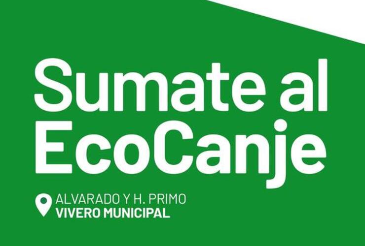 Imagen de Aceite por plantines: Sumate al Ecocanje