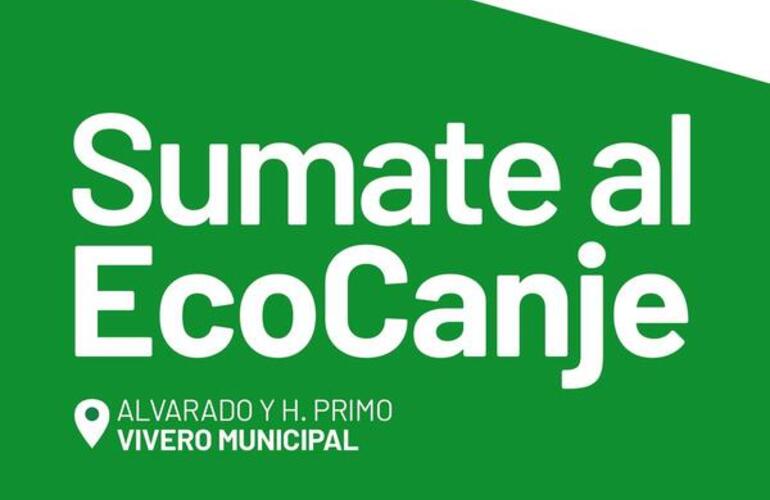 Imagen de Aceite por plantines: Sumate al Ecocanje