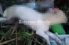 Las imágenes fueron tomadas por vecinos del barrio