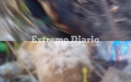 Im&aacute;genes tomadas por vecinos