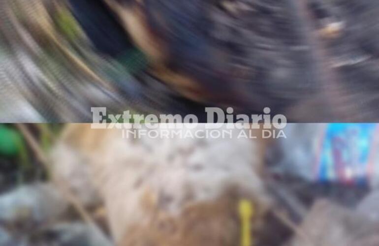 Im&aacute;genes tomadas por vecinos