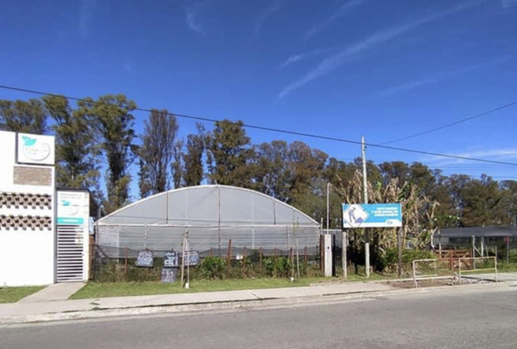 Imagen de Hoy se cumple el 3er Aniversario del viviero comunal Estación Verde.