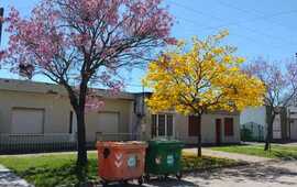 Imagen de Bogado compr&oacute; 12 nuevos contenedores para reciclar y ya suman116