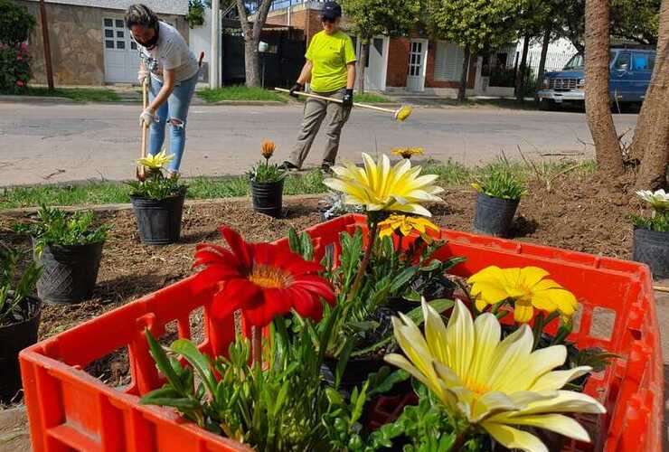 Imagen de Intervención del Curso de Jardinería y Paisajismo y Huerta y Vivero en las inmediaciones del Ramón Carrillo