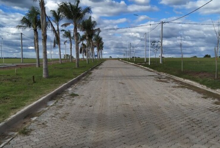 Imagen de Nuevo intento de robo en Tierra de Sueños fue frustrado por la intervención de un vecino