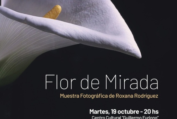 Imagen de Flor de Mirada: Muestra fotográfica de Roxana Rodríguez