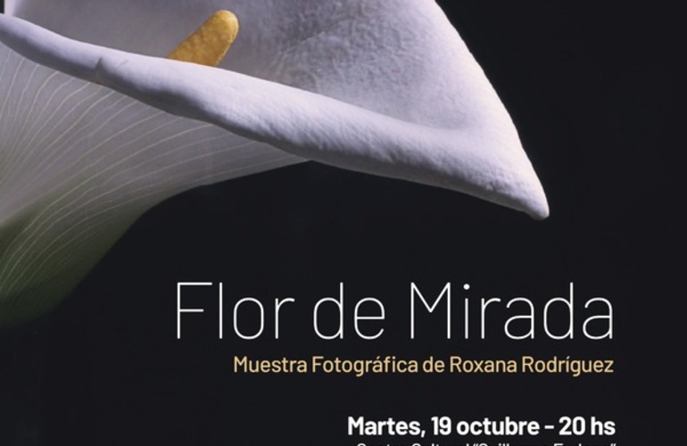 Imagen de Flor de Mirada: Muestra fotogr&aacute;fica de Roxana Rodr&iacute;guez