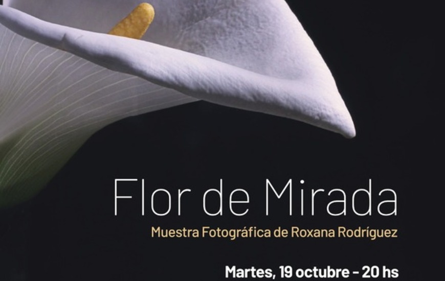 Imagen de Flor de Mirada: Muestra fotogr&aacute;fica de Roxana Rodr&iacute;guez