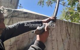 Imagen de Cortaron y robaron cables de telefon&iacute;a